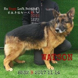 Photo of Watson 8532