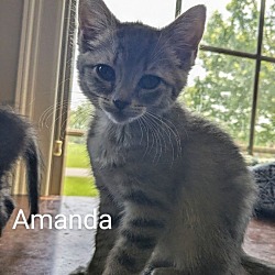Photo of Amanda