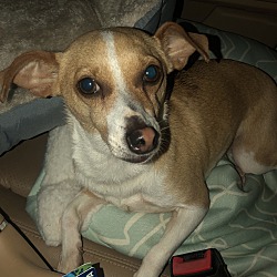 Photo of Bentley