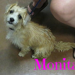 Thumbnail photo of Monita #1