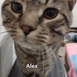Photo of Alex