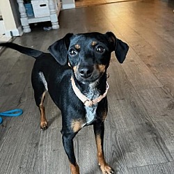 Photo of Jazz