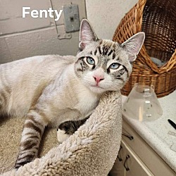 Photo of Fenty
