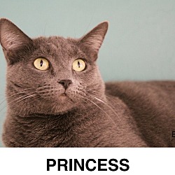 Thumbnail photo of Princess #2