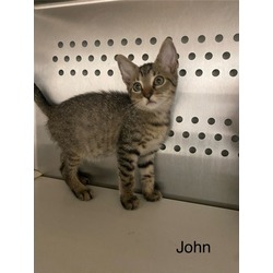 Thumbnail photo of John #1