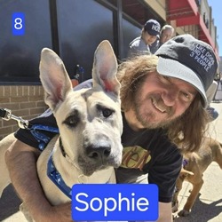 Thumbnail photo of Sophie #1