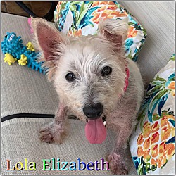 Thumbnail photo of Lola Elizabeth #2