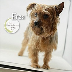 Thumbnail photo of Erza #3