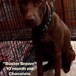 Photo of Buster Brown