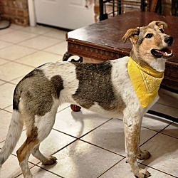 Photo of Annabelle