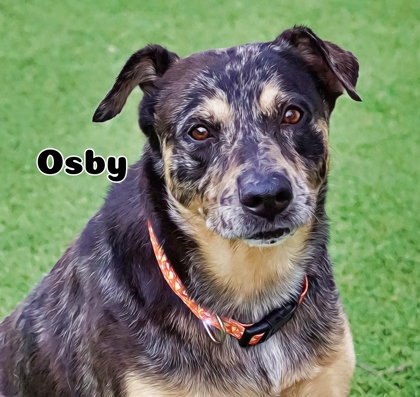 Photo of Osby