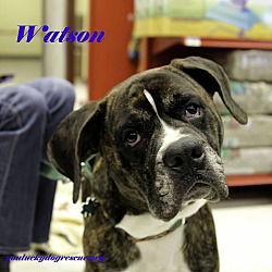 Thumbnail photo of Watson #1