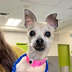 Photo of Mable TAF