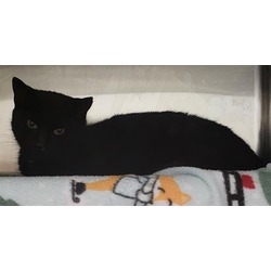 Photo of CHARLOTTE