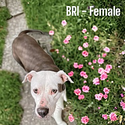 Photo of Bri
