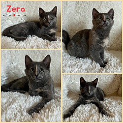 Photo of Zera