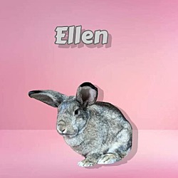 Photo of Ellen