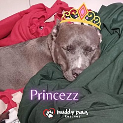 Thumbnail photo of Princezz  (Courtesy Post) #2