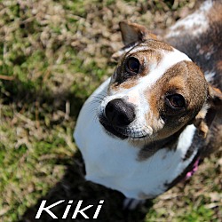 Thumbnail photo of Kiki #1