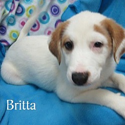 Thumbnail photo of Britta #2