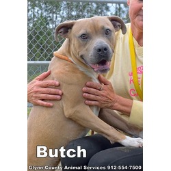 Photo of BUTCH