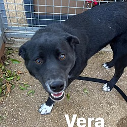 Photo of Vera
