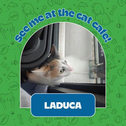 Photo of LaDuca