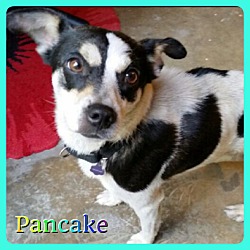 Thumbnail photo of Pancake #2