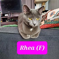 Photo of Rhea