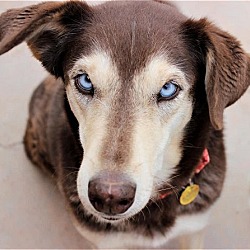 Photo of Freya