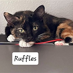 Photo of Ruffles #the-thinker