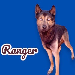 Photo of Ranger - Hold