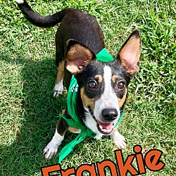 Photo of Frankie in Texarkana TX