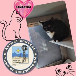 Thumbnail photo of Samantha #1