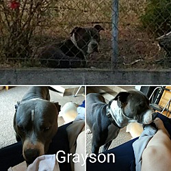 Thumbnail photo of Grayson #2
