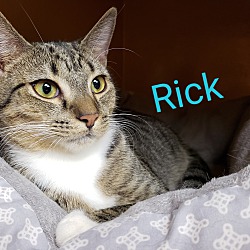 Thumbnail photo of RICK #3