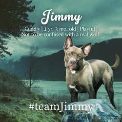 Thumbnail photo of Jimmy #2