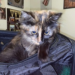 Photo of Mei