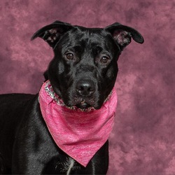 Photo of Sprinkle