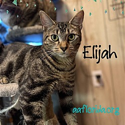 Photo of Elijah