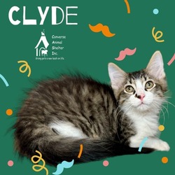 Photo of Clyde