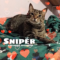 Photo of Sniper