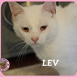 Thumbnail photo of Lev #1