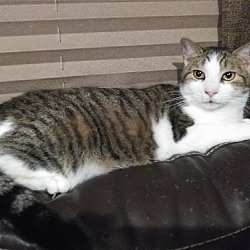 Photo of Carl