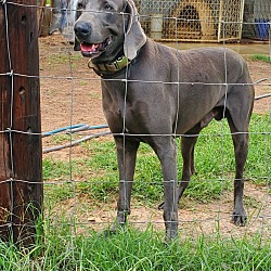 Photo of Hunter