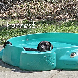 Thumbnail photo of Forrest #3