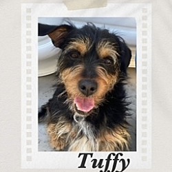 Photo of Tuffy