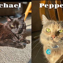 Photo of Pepper & Michael