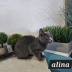 Photo of Alina