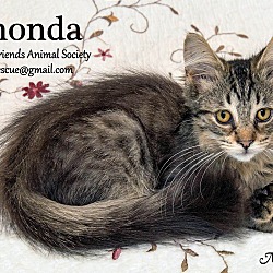 Thumbnail photo of Rhonda Roo #1